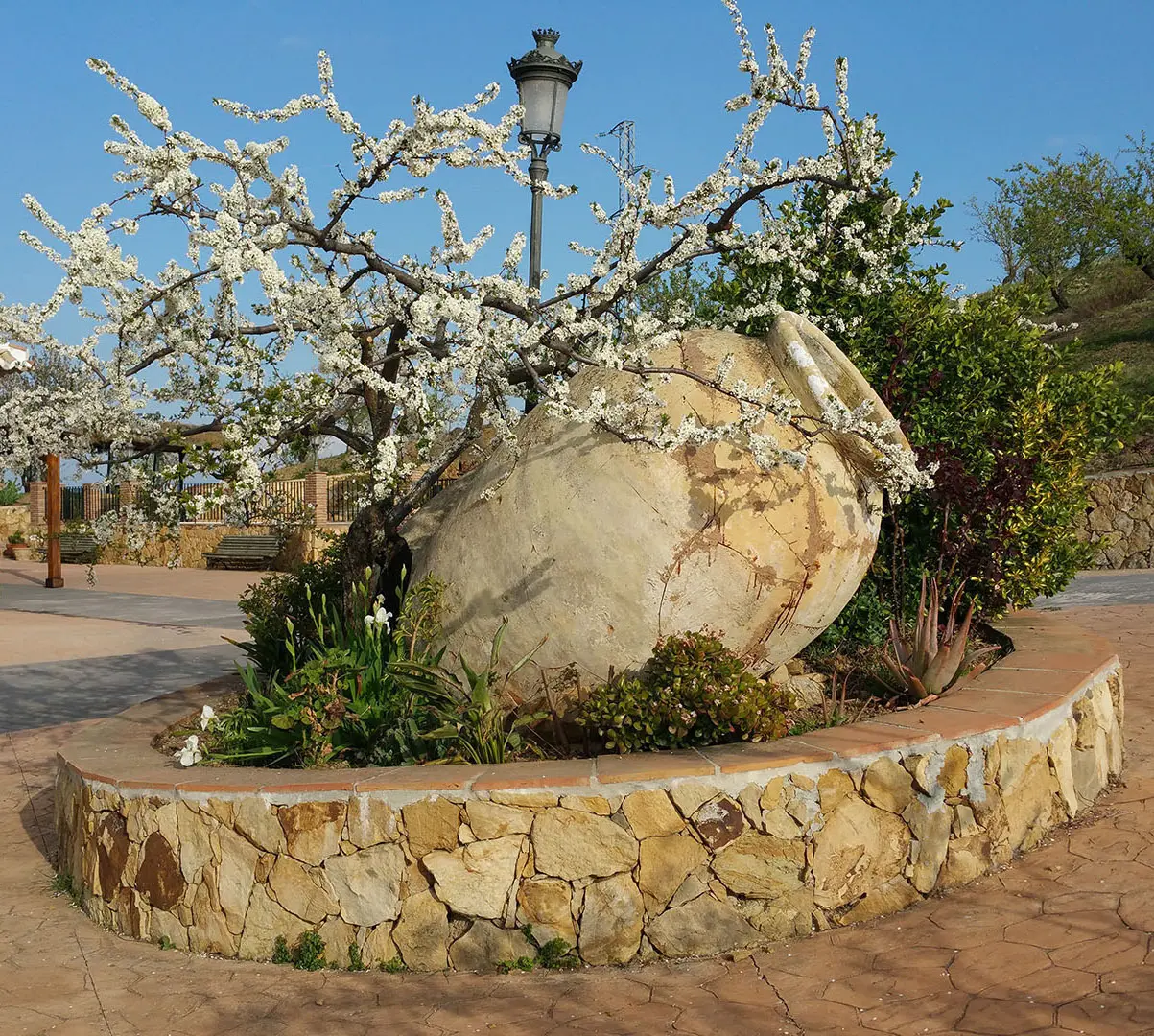 Una gran cantara de barro en una plazoleta acompañada de un almendro en flor.